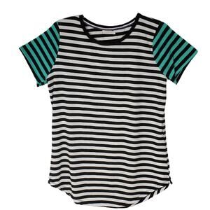 Short Sleeve Stripe Tunic Tee 1X
